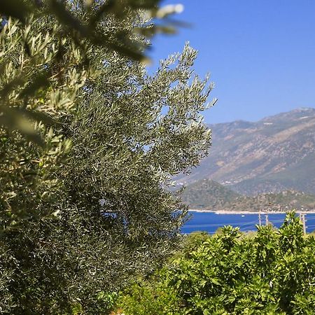 Kaktus Cakil Kas Exterior foto